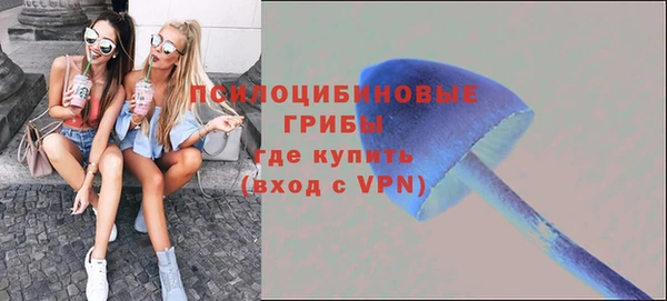 COCAINE Богданович