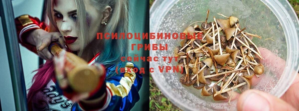 МДМА Богородицк