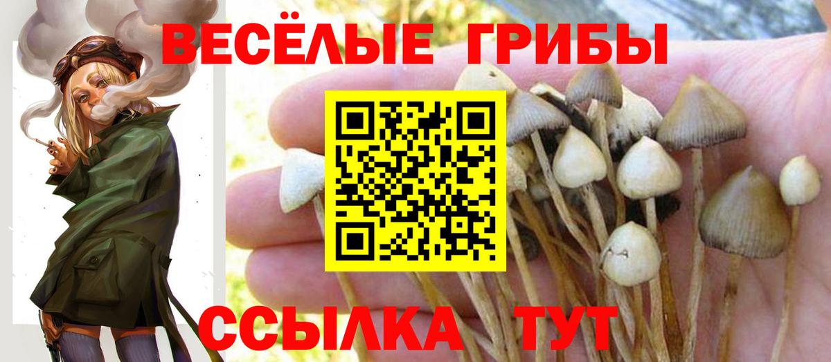 Галлюциногенные грибы Magic Shrooms Воскресенск