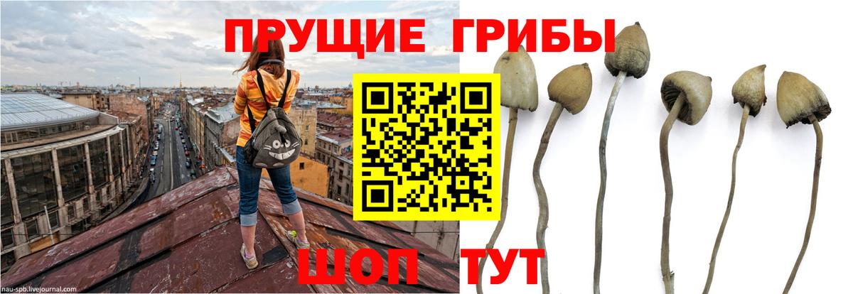 Галлюциногенные грибы мухоморы  Галлюциногенные грибы MAGIC MUSHROOMS  Вход с VPN  Воскресенск 